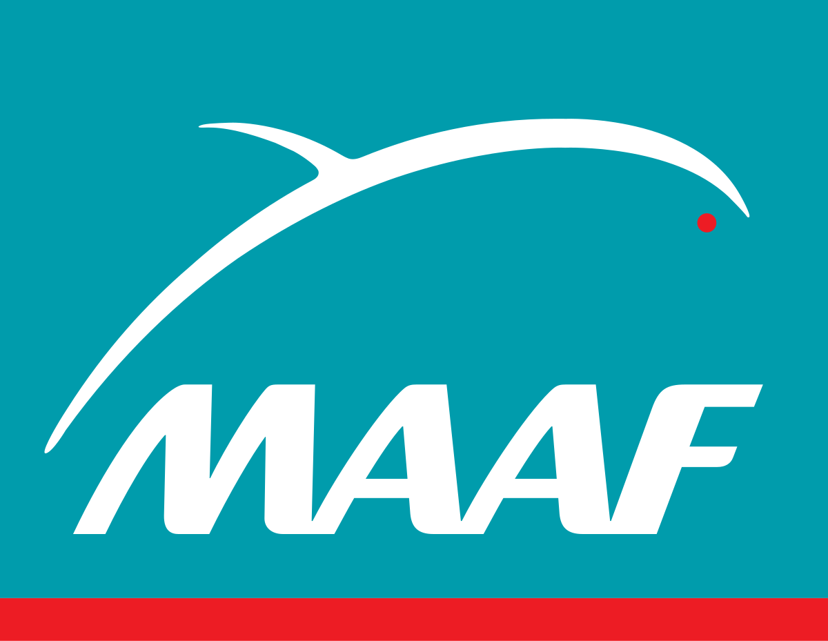 Logo maaf